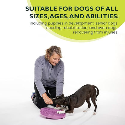 FitPAWS® Dog Balance Disc – 14”, Razzleberry | Dog Exercise Equipment | Workout Tool for Strength, Core, Stability & Rehabilitation