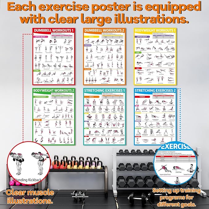 gisgfim 6PCS Workout Posters for Home Gym Dumbbell Bodyweight Stretching Workout Exercise Chart