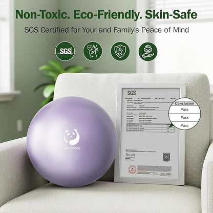 Slim Panda Pilates Ball, 9 Inch Small Exercise Ball, Anti Burst Mini Yoga Ball for Stability, Workout, Barre, Core Strength, Physical Therapy, Balance, Stretching