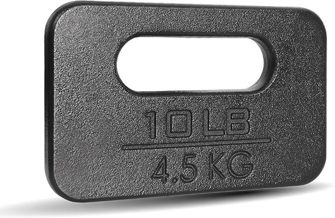 Yes4All Cast Iron Rucking Weight for Backpack, Training Weight Plate with Ergonomic Rounded Handle, Protective Glossy Finish for Weighted Walking, Hiking, Rucking, Resistance Workout, 10 LB