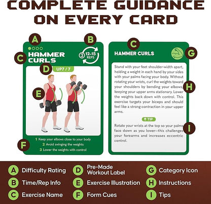 75 Dumbbell Workout Cards – 3.5” x 2.5” Full Body Weight Training Exercise Deck – At-Home Fitness Guide for Men and Women – Get Stronger With 12 Pre-Made Strength Workouts