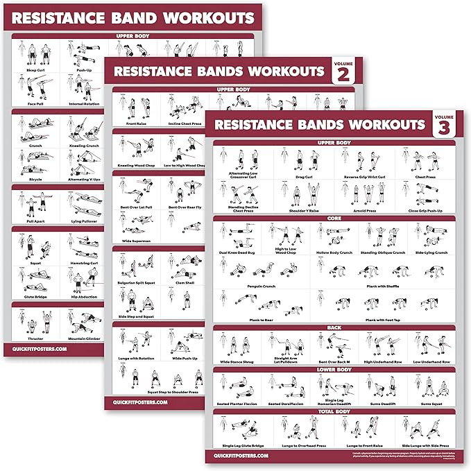 Palace Learning 4 Pack - Resistance Bands Workout Exercise Posters Volume 1, 2 & 3 + Resistance Loops Fitness Chart (LAMINATED, 18" x 24")