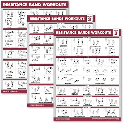 Palace Learning 4 Pack - Resistance Bands Workout Exercise Posters Volume 1, 2 & 3 + Resistance Loops Fitness Chart (LAMINATED, 18" x 24")