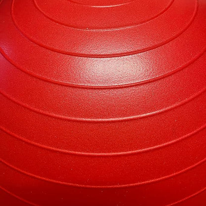 Lifeline Fitness Exercise Ball with Workout Guide – Burst-Resistant Stability Ball with Pump for Core, Balance, and Pregnancy Exercises