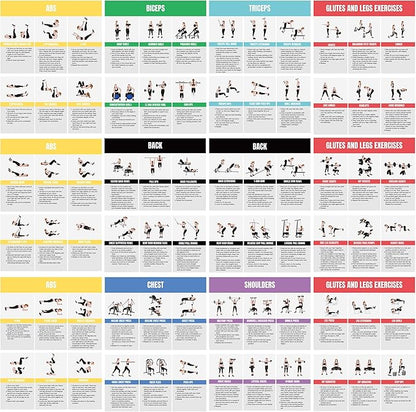 Full Body Workout Poster for Home Gym – Exercise Chart for Glutes, Legs, Back & Abs – Strength Training Guide with Squats, Lunges, Deadlifts, Core Exercises – Bodyweight & Dumbbell Training Guide