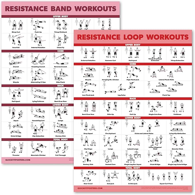 Palace Learning 2 Pack - Resistance Bands and Resistance Loops Workout Posters - Set of 2 Laminated Charts - Resistance Band Tubes and Loops Exercise Charts [Light]