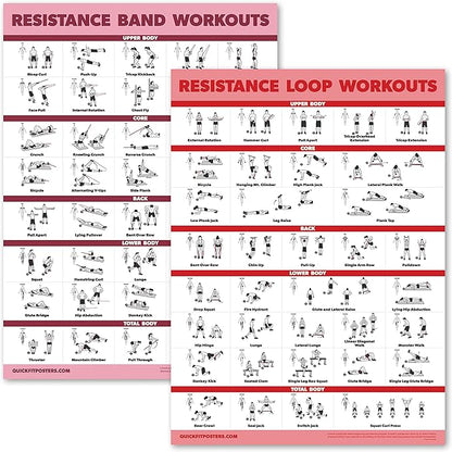 Palace Learning 2 Pack - Resistance Bands and Resistance Loops Workout Posters - Set of 2 Laminated Charts - Resistance Band Tubes and Loops Exercise Charts [Light]