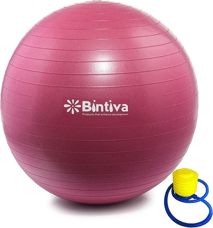bintiva Exercise Ball