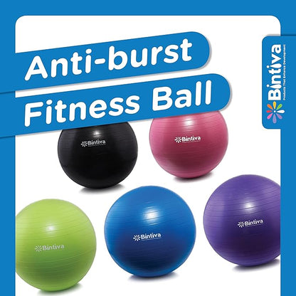 bintiva Exercise Ball