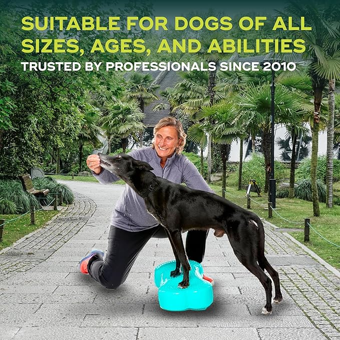 FitPAWS® K9FITbone® - Regular, Aqua | Dog Balance Training Platform & Exercise Equipment | Workout Tool for Strength, Core & Stability