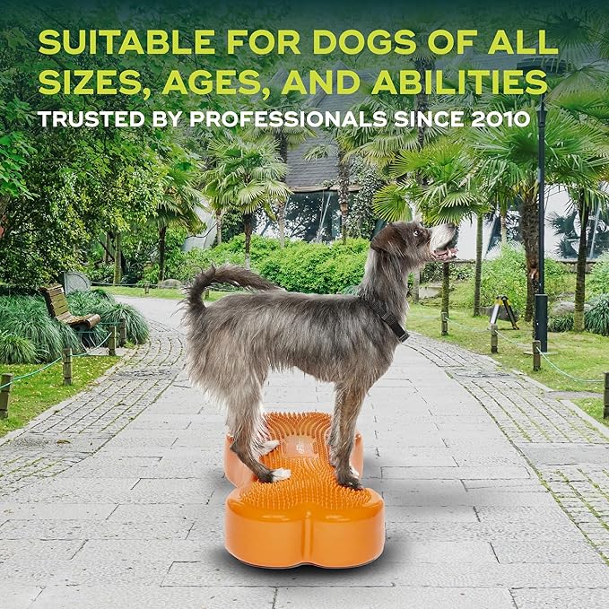FitPAWS® K9FITbone® - Regular, Orange | Dog Balance Training Platform & Exercise Equipment | Workout Tool for Strength, Core & Stability