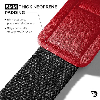 DMoose Fitness Lifting Straps 24" (Pair) - 5mm Padded Durable Wrist Straps for Weightlifting & Powerlifting - Cotton Lifting Strap with Silicone Grip for Men & Women - Deadlift Strap for Gym Workout